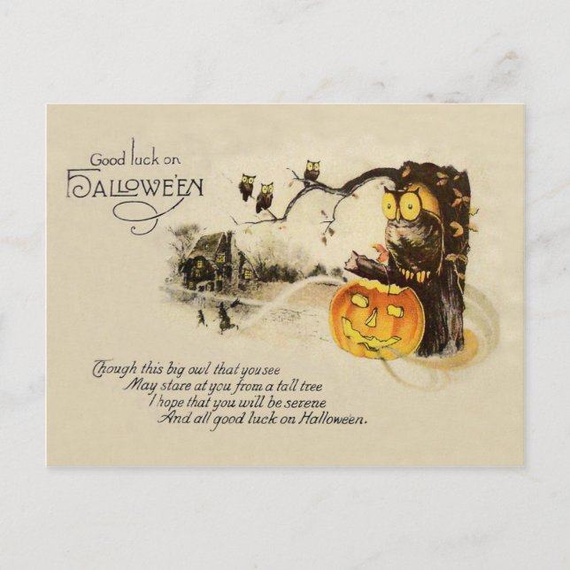 Cartão Postal Árvore de Abóbora Coruja Jack O' Lantern (Frente)