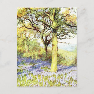 Cartão Postal Árvore de Calma e Paisagem FIeld Flor