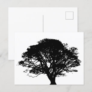 Cartão Postal Árvore de Carvalho Preto Gótico Desenho de Belas A