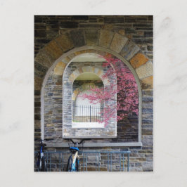 Cartão Postal Árvore De Cereja Através Dos Arcos