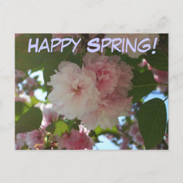 Cartão Postal Árvore de cereja I Primavera Floral com duas flore