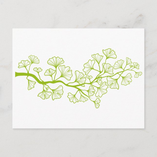 Cartão Postal árvore de ginkgo com folhas verdes (Frente)