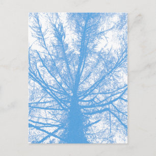 CARTÃO POSTAL ÁRVORE DE INVERNO