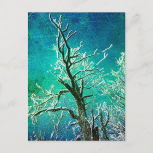 Cartão Postal Árvore de inverno congelada