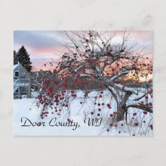 Cartão Postal Árvore de Maçã