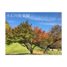 Árvore de Mapeamento Colorida no outono