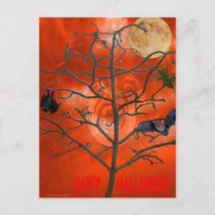 Cartão Postal Árvore de morto entre um Cartão-Postal Laranja Esc