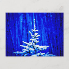 Cartão Postal Árvore de Natal, Neve, Noite Mágica