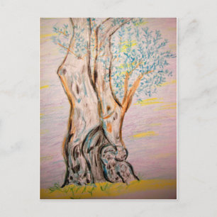 Cartão Postal Árvore de Oliva Antiga