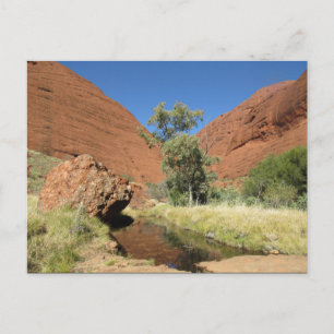 Cartão Postal árvore do kata tjuta