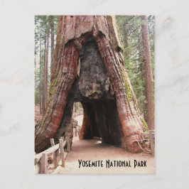 Cartão Postal Árvore do túnel - Yosemite