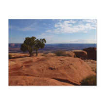 Árvore Fora das Rochas Vermelhas I em Canyonlands