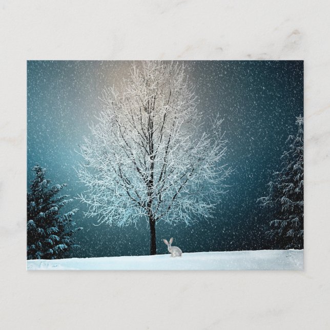 Cartão Postal Árvore Invernal impressionante - Completa com o Co (Frente)