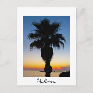 Cartão Postal Árvore Palm de Maiorca ao Sol