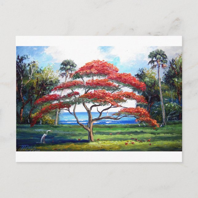 Cartão Postal Árvore Real Poinciana Arte (Frente)