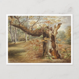 Cartão Postal Árvore rotativa por Elizabeth Murray