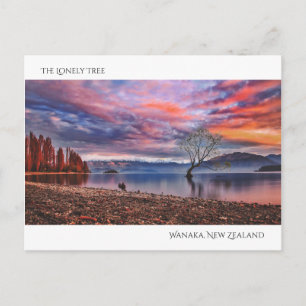 Cartão Postal Árvore Solitário - Wanaka, Nova Zelândia