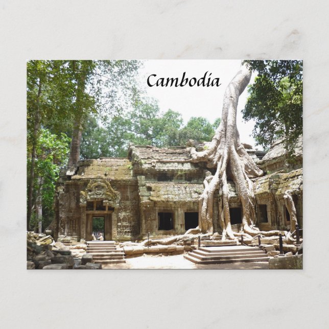 Cartão Postal árvore ta prohm (Frente)