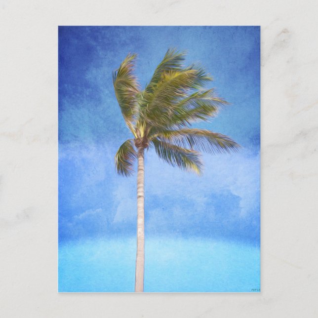 Cartão Postal Árvore Tropical de Palm (Frente)
