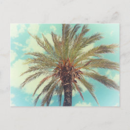 Cartão Postal Árvore Tropical de Palm Vintage