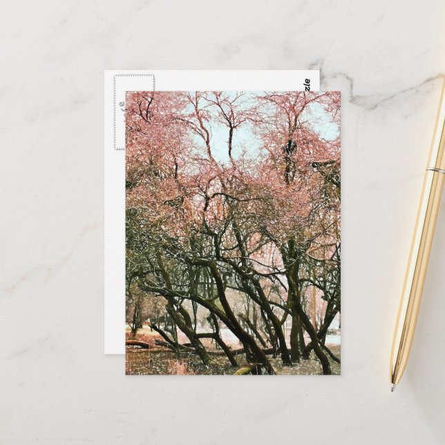 CARTÃO POSTAL ÁRVORES (Frente/Verso In Situ)