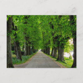 Cartão Postal Árvores