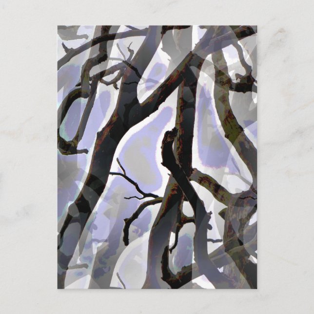 CARTÃO POSTAL ÁRVORES (Frente)