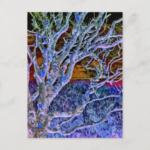 CARTÃO POSTAL ÁRVORES