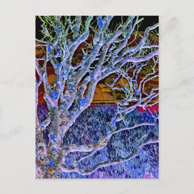 CARTÃO POSTAL ÁRVORES (Frente)