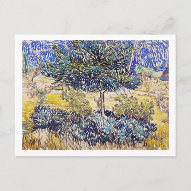 Cartão Postal Árvores arbustos Jardim de Asilo Vincent Van Gogh (Frente)