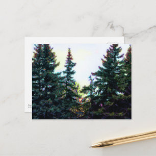 Cartão Postal Árvores da Floresta Boreal Canadá Artístico Colori