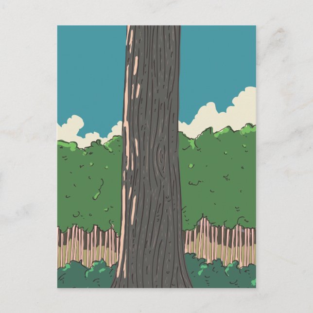 Cartão Postal Árvores da floresta japonesa (Frente)