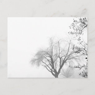 Cartão Postal Árvores da Manhã Foggy