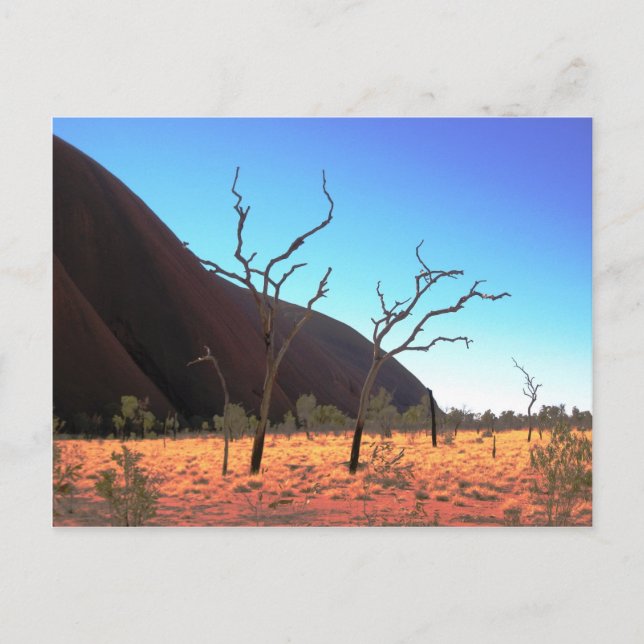 Cartão Postal Árvores de Ayers Rock (Frente)