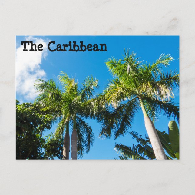 Cartão Postal Árvores de Caribe (Frente)