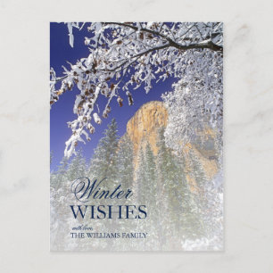Cartão Postal Árvores de carvalho-preto na neve em Yosemite