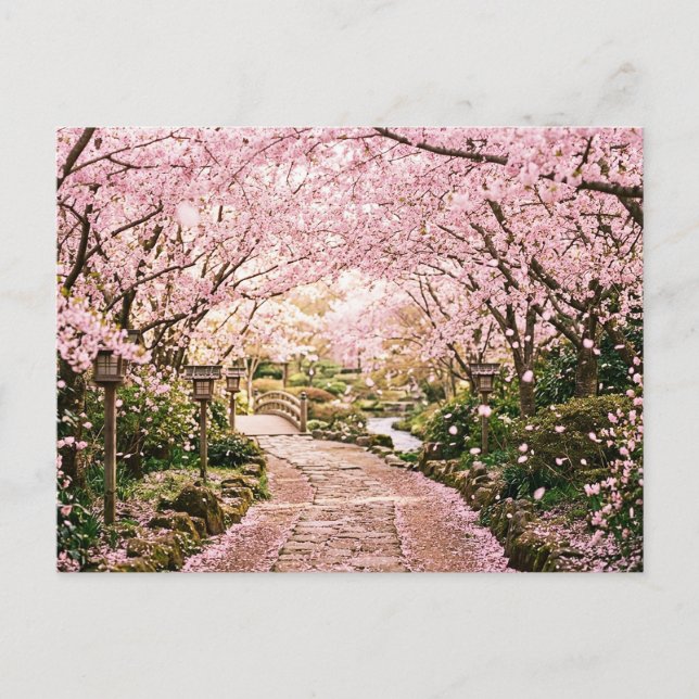 Cartão Postal Árvores de Cerejeira em Flor (Frente)