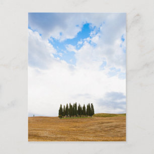 Cartão Postal Árvores de ciprestes da Toscana