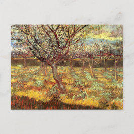 Cartão Postal Árvores de damascos no Flor por Van Gogh