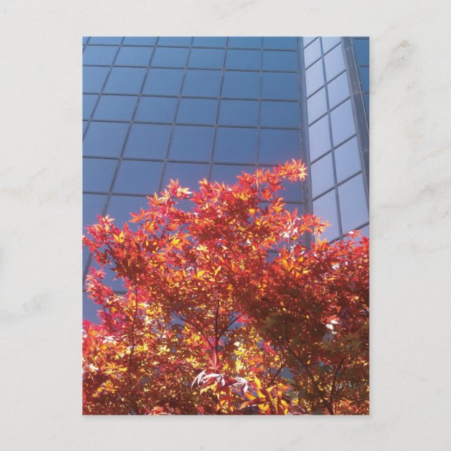 Cartão Postal Árvores de madeira e vidro (Frente)