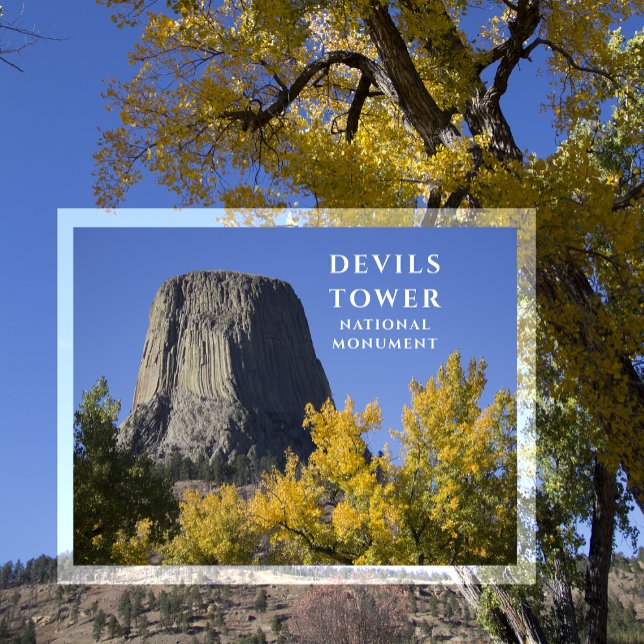 Cartão Postal Árvores de Monumento Nacional em Torre de Devils C (Criador carregado)