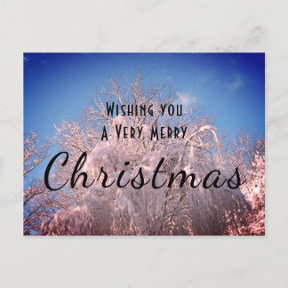 Cartão Postal Árvores de Neve de Natal!