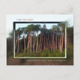 Cartão Postal Árvores do Campo