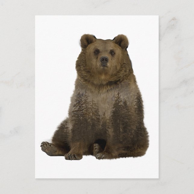 Cartão Postal Árvores do Urso Marrom  Postcard de dupla exposiçã (Frente)