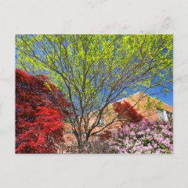 Cartão Postal Árvores e Arbustos Coloridos na Primavera