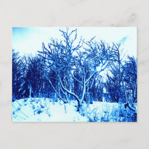 Cartão Postal Árvores e Cena de Neve, Azul Cobalto