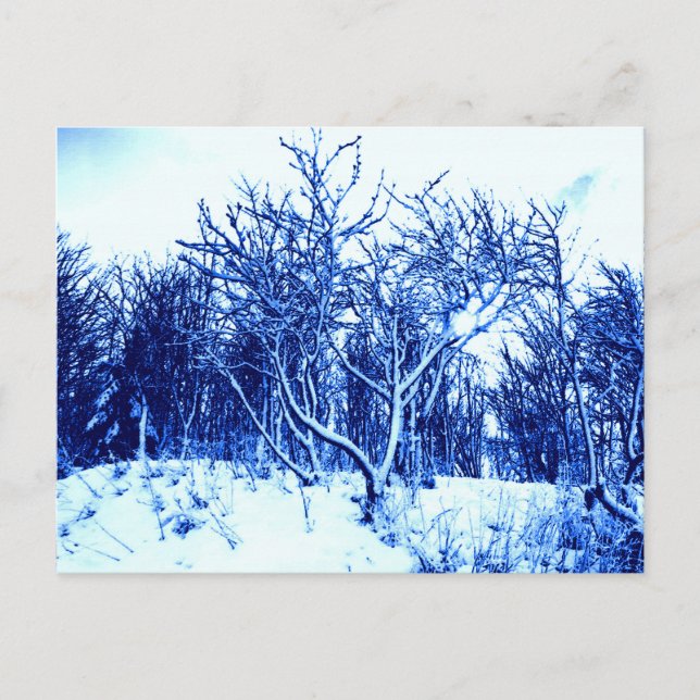 Cartão Postal Árvores e Cena de Neve, Azul Cobalto (Frente)