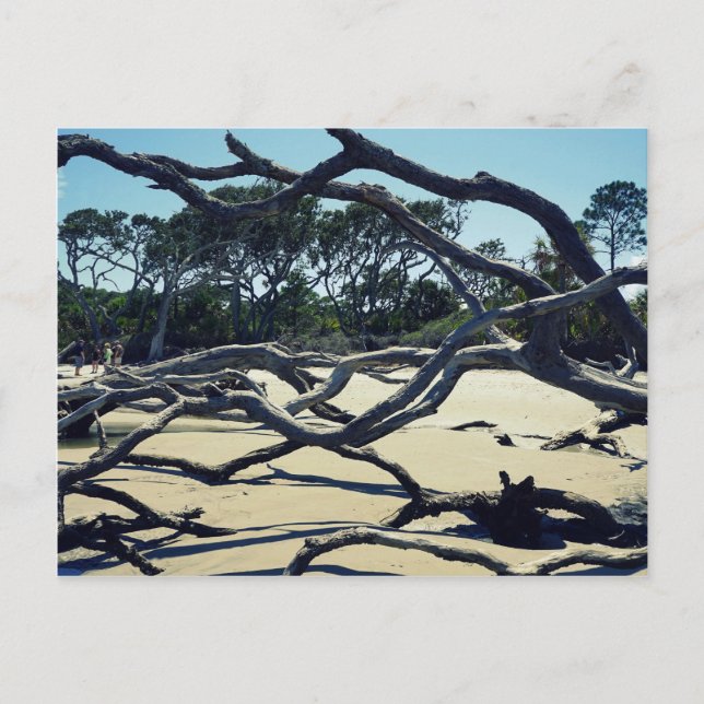 Cartão Postal Árvores em Jekyll (Frente)