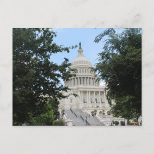 Cartão Postal Árvores Enquadradas do Capitol Building