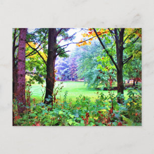 Cartão Postal Árvores Espaço Verde Natureza Prado Nebuloso